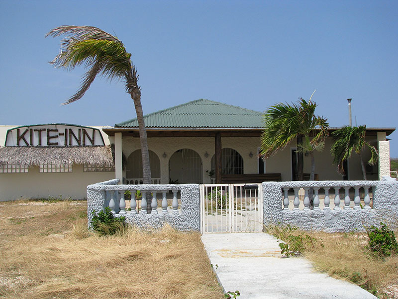 Kite Inn Aruba entrance with greenery and palm trees